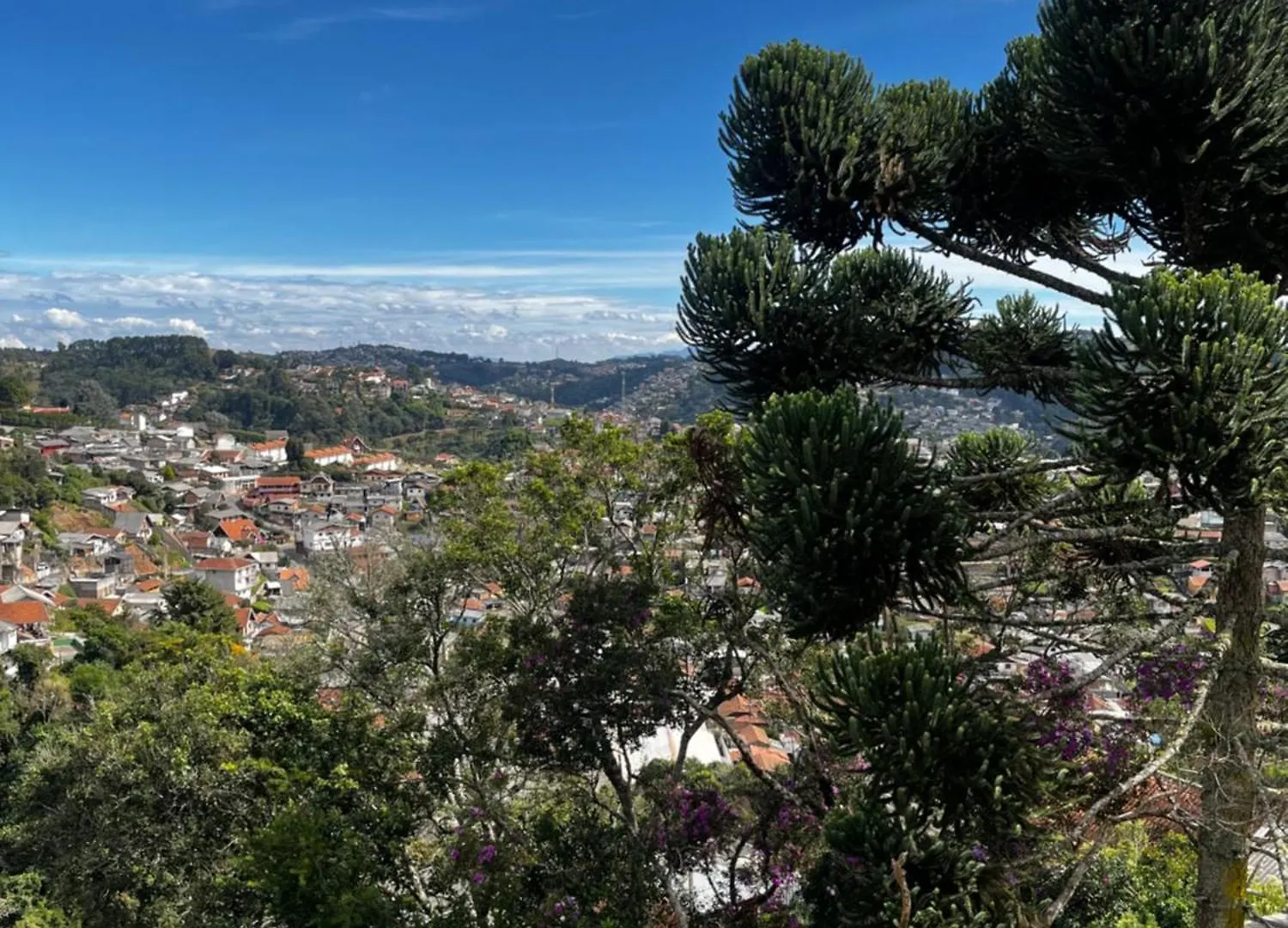 Recanto Das Corujas Campos do Jordao Holiday home