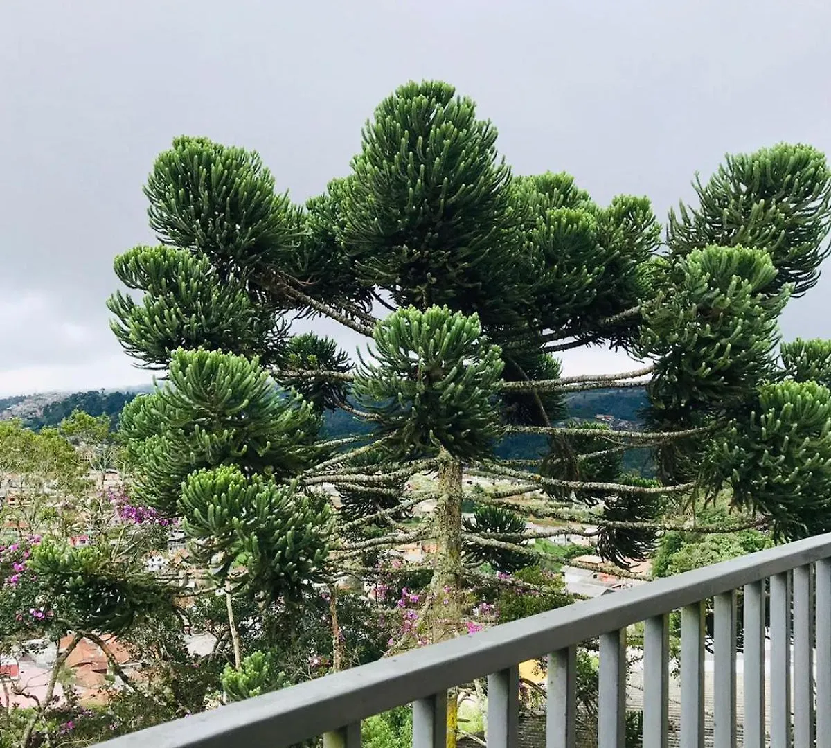Holiday home Recanto Das Corujas Campos do Jordao